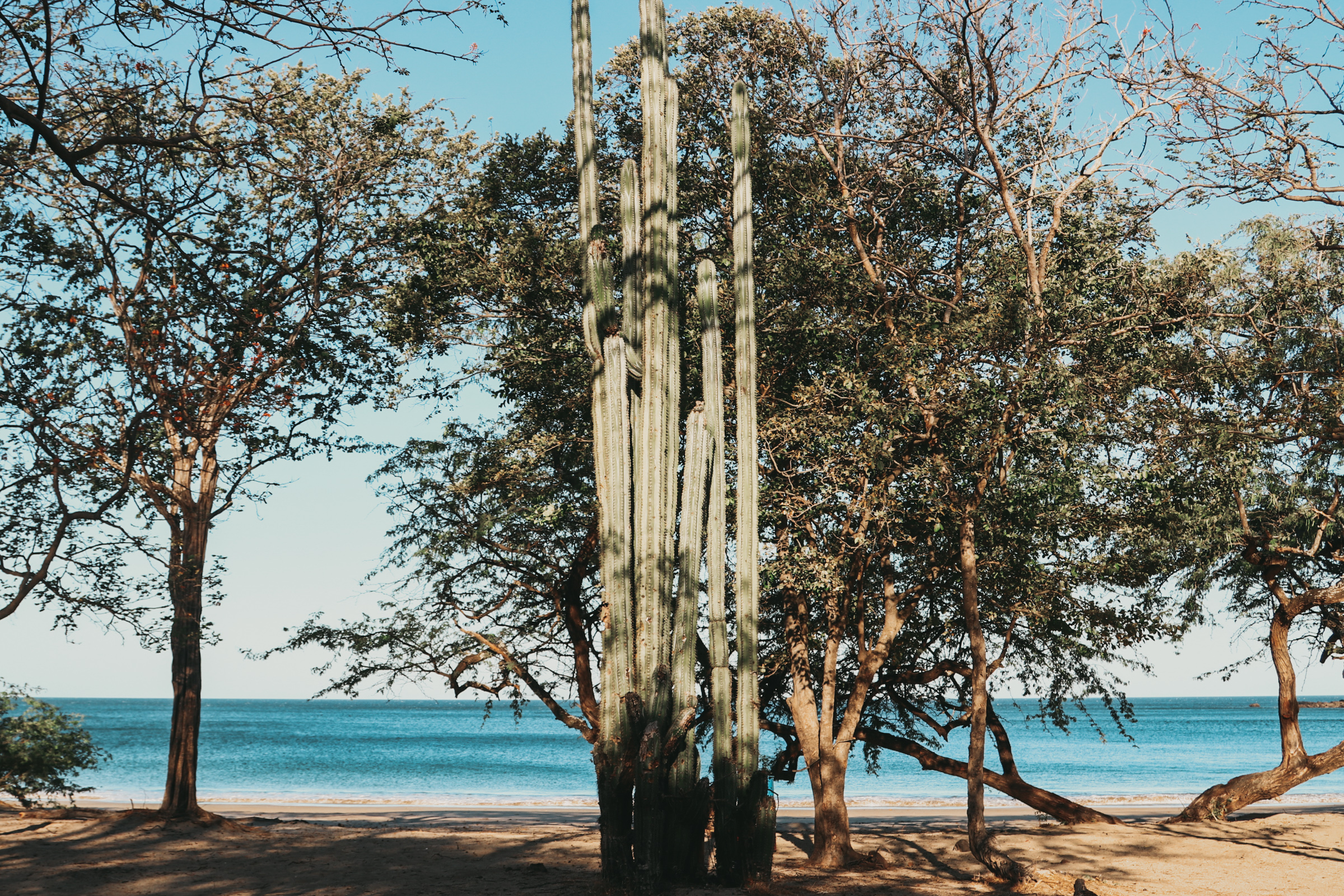 Jahresstart in Costa Rica