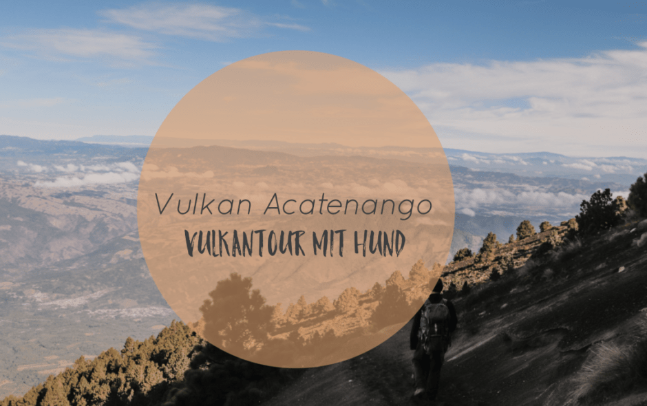 Acatenango Vulkan Wanderung mit Hund